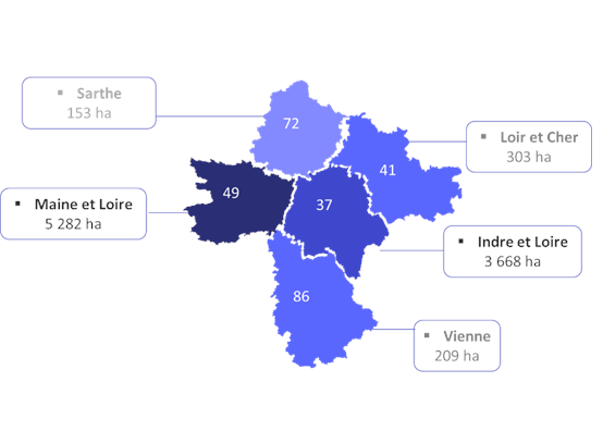 carte production chenin val de loire