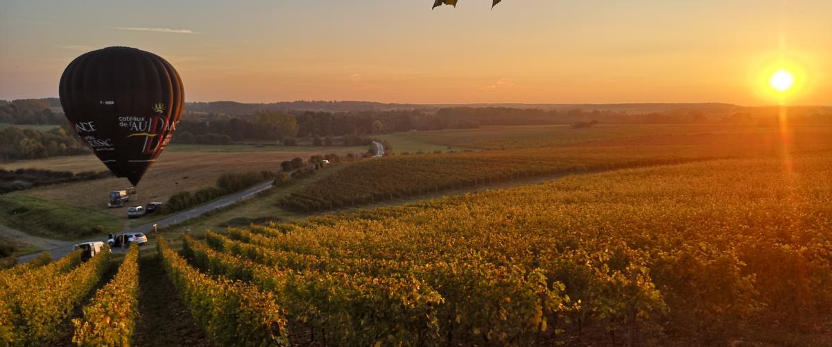 vignoble coteaux de l'aubance