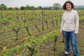 Domaine Isabelle Suire