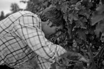 Domaine Arnaud Lambert