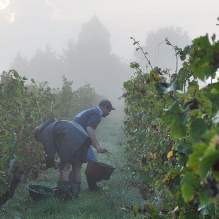 Quarts de Chaume Grand Cru